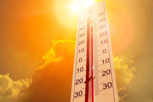 Survive The Summer Heat With These Refreshing Hacks
